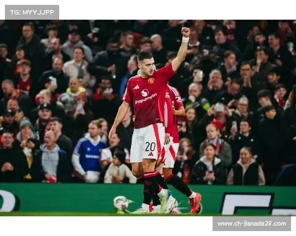 范尼的曼联岁月，从青涩到巨星